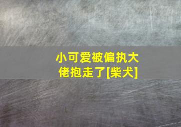 小可爱被偏执大佬抱走了[柴犬]